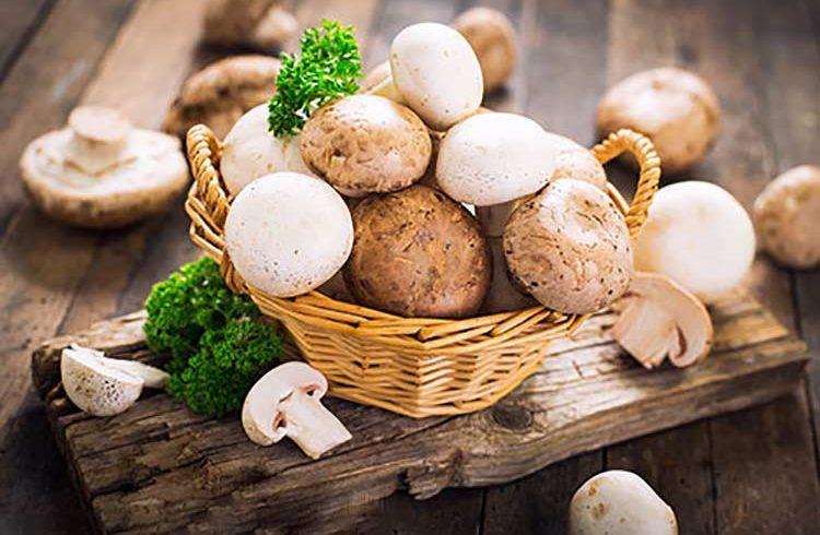 چه کسانی نباید قارچ مصرف کنند؟ چه کسانی نباید قارچ مصرف نمایند؟