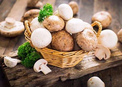 چه کسانی نباید قارچ مصرف نمایند؟