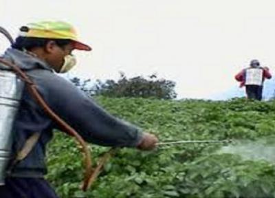 سم پاشی علیه مالاریا در مرز راسک