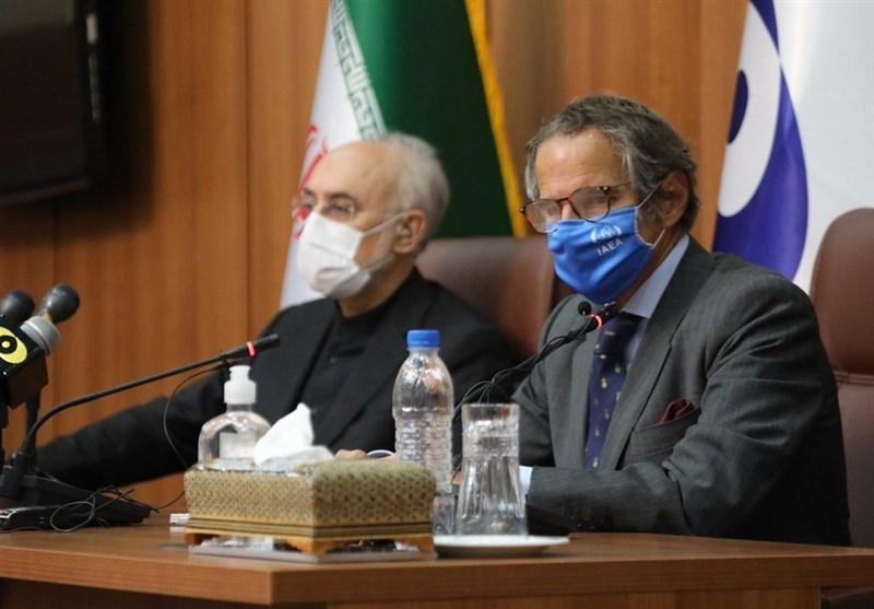 بازتاب های رسانه ای و دیپلماتیک سفر مدیرکل آژانس بین المللی انرژی اتمی به تهران