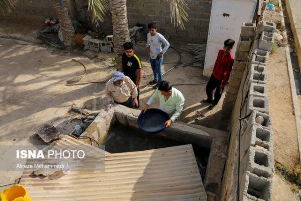 خوزستان در تنش آبی ، تبیین سیاست های مصرف آب برای تابستان