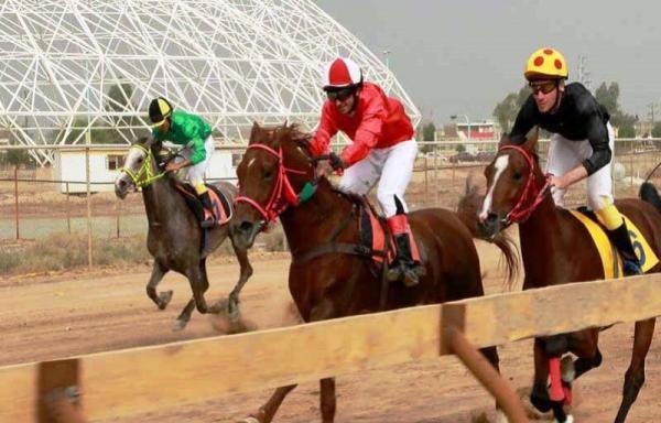 خبرنگاران چابکسواران برتر مسابقه اسب دوانی کورس بهاره کشور در یزد معین شدند