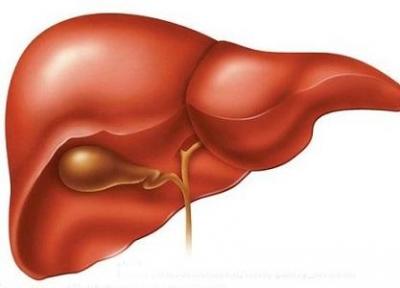 توصیه تغذیه ای برای حفظ سلامتی کبد