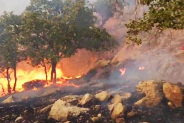 منطقه حفاظت شده دیل گچساران پس از 4 روز هم چنان در آتش می سوزد